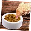 Angoily 4-Piece Ceramic Reptile Food and Water Bowls view 3