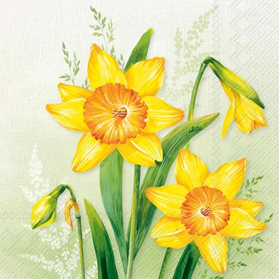 IHR 20 Spring Paper Napkins with Large Daffodils on Light Green, 33 x 33 cm