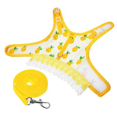DOITOOL Small Pet Vest Harness and Leash Set with Pineapple Print