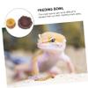 Housoutil Resin Reptile Feeding Bowl view 4