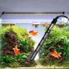 CENMOO Aquarium Heater Guard view 4