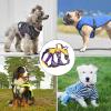 Lightweight Dog Harness view 2