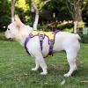 Lightweight Dog Harness view 4