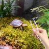 tongfeng Reptile Feeding Tongs, Ergonomic Non-Slip, Glow-in-the-Dark, 18 cm view 3