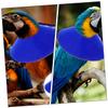 Angoily Stylish Blue Anti-Bite Collar for Birds view 2