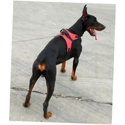 HAPINARY Dog Harness Saddle Style Oxford Fabric for Medium Dogs