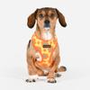 BACOPAS Harness A Dog Harness, Orange, L view 3