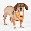 BACOPAS Harness A Dog Harness, Orange, L view 4
