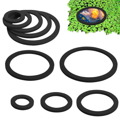 BSEID Fish Feeding Ring