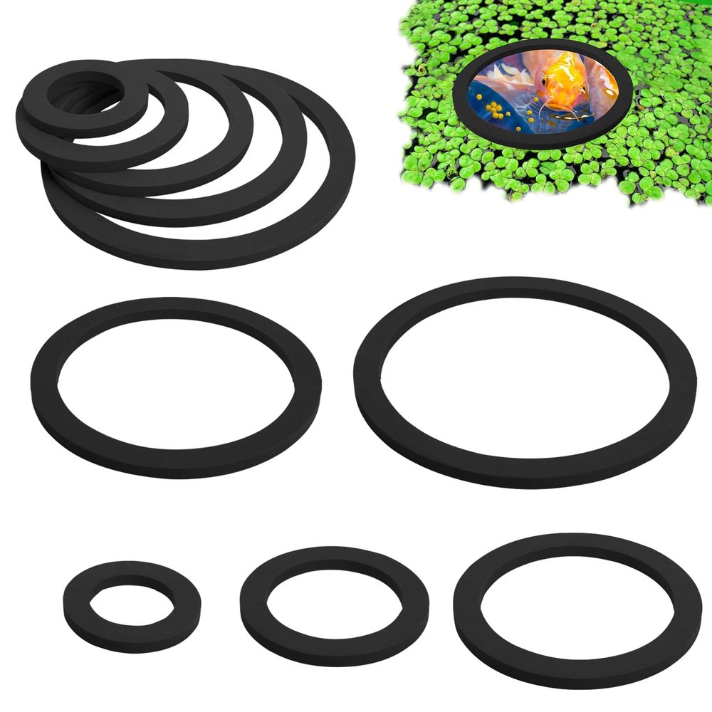 BSEID Fish Feeding Ring