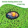 BSEID Fish Feeding Ring view 4