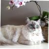 FRCOLOR Decorative Bowknot Cat Collar view 2