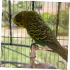 DOITOOL Natural Wood Parrot Perch and Chew Toy view 2