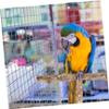 DOITOOL Natural Wood Parrot Perch and Chew Toy view 4
