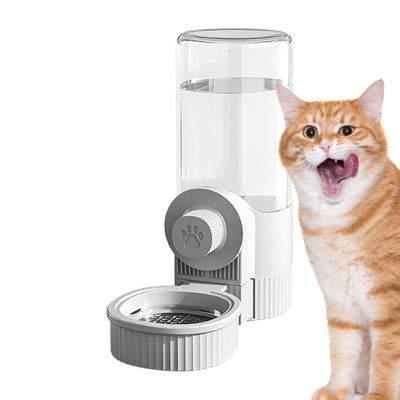 Automatic Cat Feeder and Water Dispenser