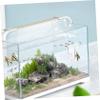 OATIPHO Aquarium Shrimp Feeder with Suction Cup, Transparent Fish Tank Feeding Solution view 4