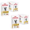Royal Canin Veterinary Urinary S/O Moderate Calorie | Twin Pack | 2 x 12 x 85 g | Dietetic Complete Food for Cats | For Dissolution of Struvite Stones | Low RSS Value view 1