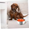 Silicone Slow Feeder Dog Bowl Insert, Orange view 3