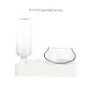 FRCOLOR Automatic Cat Water Dispenser, 500 ml, Plastic, with Tilted Bowl and Slow-Feeder Bowl, Easy to Clean, Assorted Style view 2