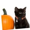 Angoily 4-Piece Halloween Pet Collars with Bells view 4