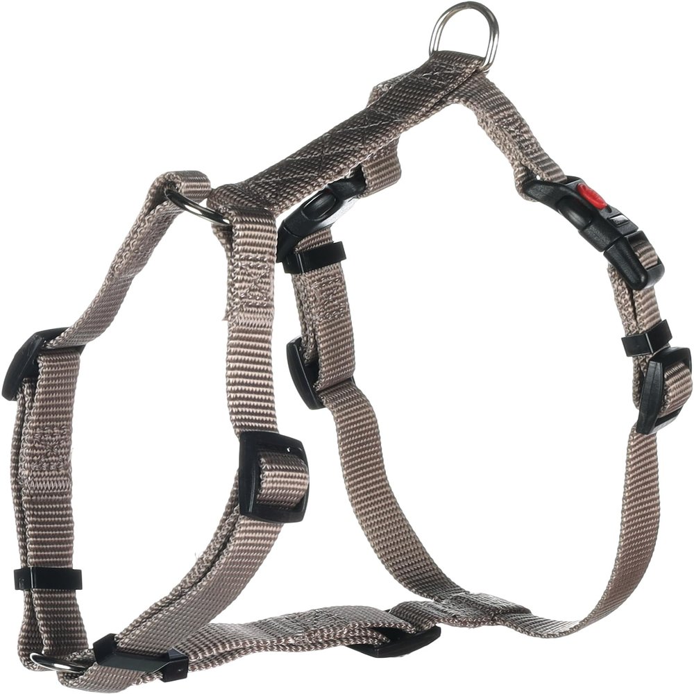 H-Harness ZIGGI Greige XS 25-40CM 10MM