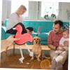 FRCOLOR Interactive Dog Toy Flamingo view 3