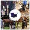 JPSDOWS Hoof Brush with Bucket view 4