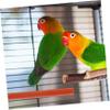 Beaupretty Parrot Climbing Toy view 4