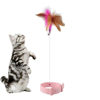 Cat Collar Stick Toy