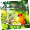 Beavorty Wooden Bird Perch Toy view 2
