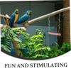 Beavorty Wooden Bird Perch Toy view 4