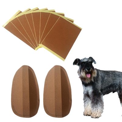 Shuangliao Dog Ear Posting Support Kit