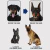 Shuangliao Dog Ear Posting Support Kit view 3