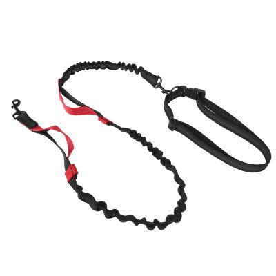 Robust Bungee Dog Leash with Nylon Alloy Buckle