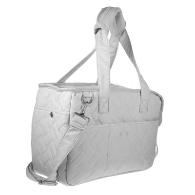 BUGUUYO Lightweight Portable Canvas Pet Carrier with Pocket for Puppies and Small Dogs, Silver