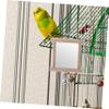DOITOOL XXL Parrot Toy with Double-Sided Mirror and Swing view 4