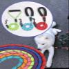 Reflective Round Rope Dog Leash, Multicolor, 3 m × 12 mm view 3