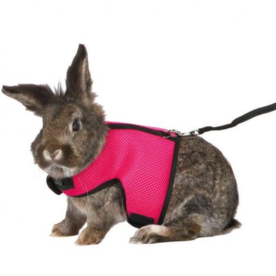 Breathable Nylon Pet Harness