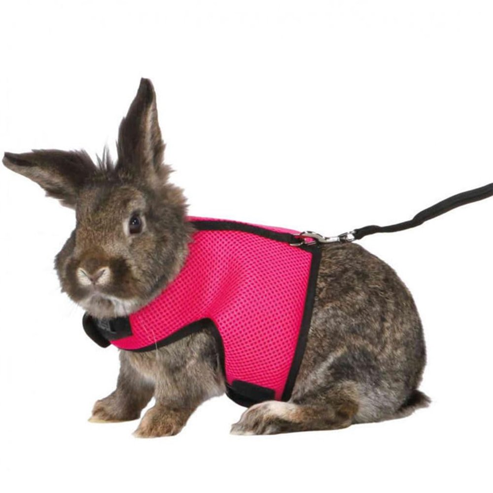 Breathable Nylon Pet Harness