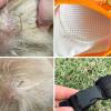 Dog Elbow Brace Protection (L) view 3