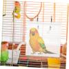 minkissy Acrylic Hanging Bird Bath for Parakeets and Small Birds view 2
