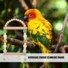 Bird Swing for Budgies view 2