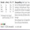 freshback Iron + Vitamins Drink Powder - 15 Sachets, 4 g (1 Pack) - Iron, Vitamin C, Folic Acid, Vitamin B12 - Convenient for On the Go (6) view 2