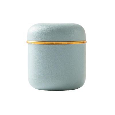 Portable Small Pet Urn, Moisture-Resistant Cremation Box for Cats and Dogs (Clear Mountain Blue)