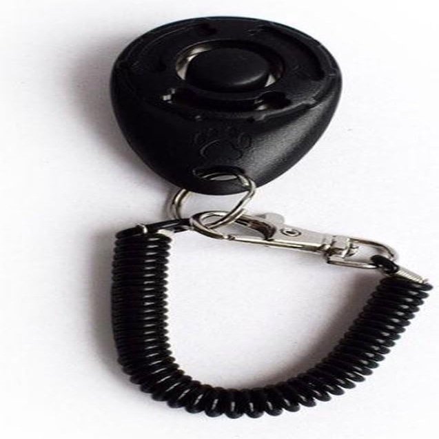 Go Go Gadget Clicker Training Tool