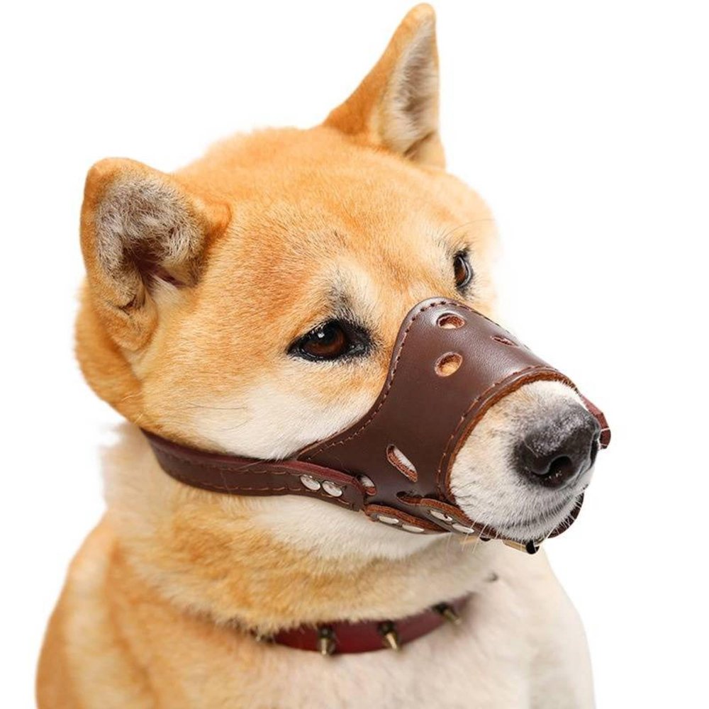 Breathable Air-Mesh Dog Muzzle with Adjustable Straps