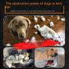 Breathable Air-Mesh Dog Muzzle with Adjustable Straps view 2