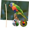 minkissy 1-Pack Parrot Chew Toy, Straw Balance Track for Parrot Cages view 4