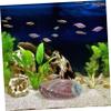 Ciieeo Natural Abalone Shell for Incense and Decoration view 4