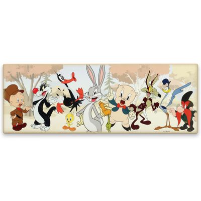 Looney Tunes Wooden Wall Decor